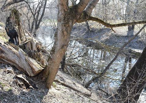 У Нових Санжарах річку Ворону чистять від топляка