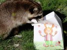 Работники зоопарка решили угостили животных фирменными пасхальными пакетиками