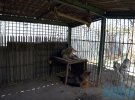 Зоопарк в ДНР: тесные клетки, замученные животные и птицы
