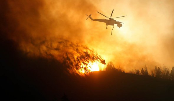 Будь-який підпал може спровокувати велику лісову пожежу.