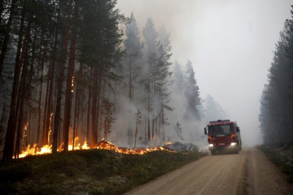 В развитых странах происходят постоянные стихийные пожары.
