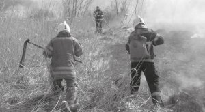 Пожежники гасять траву біля села Макухівка Полтавського району. Знайшли гнізда із ­запеченими яйцями качок
