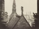 Собор Парижской Богоматери строили в течение 1163-1365 годов. В XIX веке добавили отделку химерами и построили шпиль