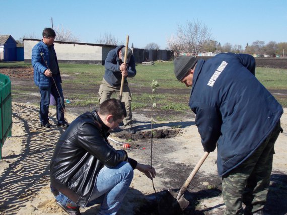 Працівники КП "Карлівка Новатор" висаджують берізки та горобини навколо дитячого майданчика по вул. Великотирнівській