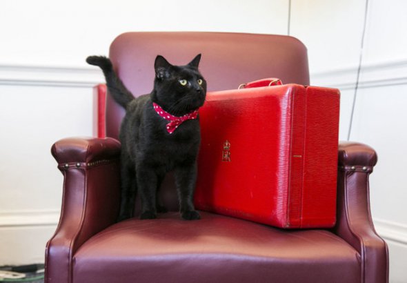 Кіт Гладстон служить у Міністерстві фінансів Великобританії