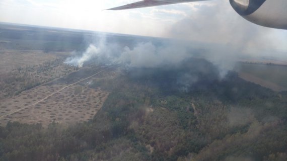 В Черниговской области тушат лесной пожар. Фото: ДСНС