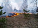 У Чернігівській області гасять лісову пожежу. Фото: ДСНС