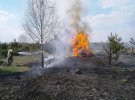 В Черниговской области тушат лесной пожар. Фото: ДСНС