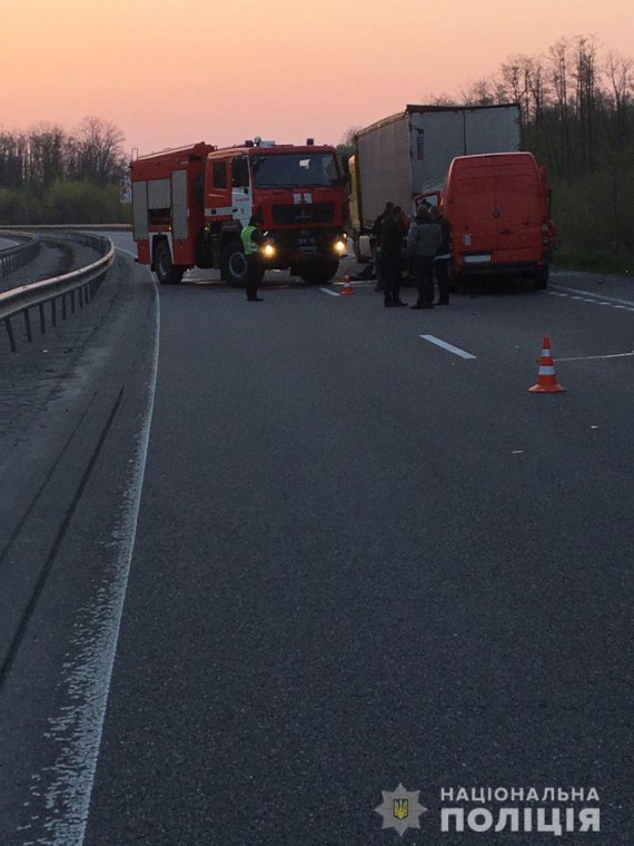 На автодорозі Київ-Чоп сталася подвійна смертельна аварія через лося, який раптово вибіг на дорогу
