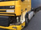 На автодорозі Київ-Чоп сталася подвійна смертельна аварія через лося, який раптово вибіг на дорогу