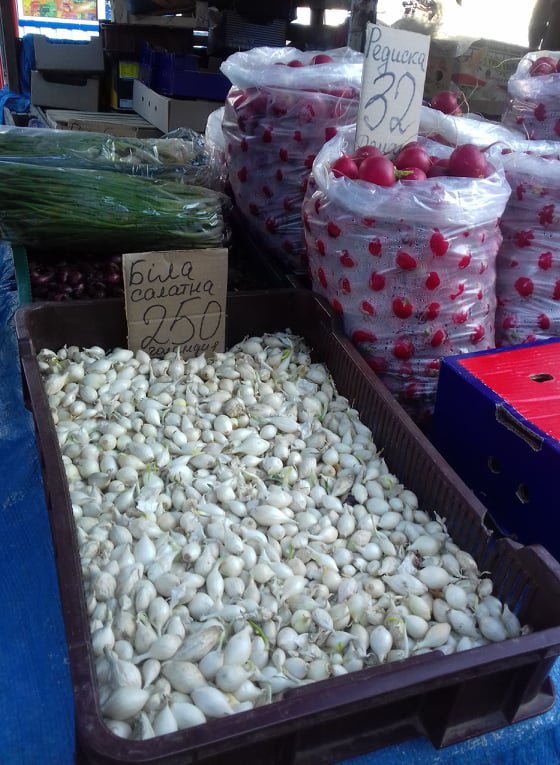 Семенной лук продают по 200-300 гривен: покупатели в шоке