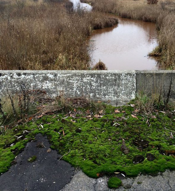 Міст через річку Ілля