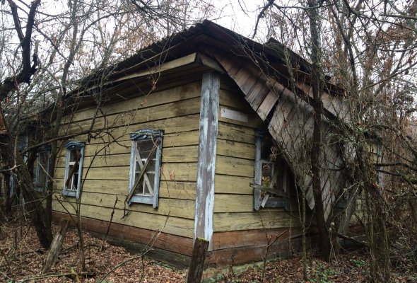 Село Денисовичі Поліського району Київської обл. Розташоване на крайній півночі, на відстані 47 км від селища Поліське, та за 3 км від державного кордону з Білоруссю