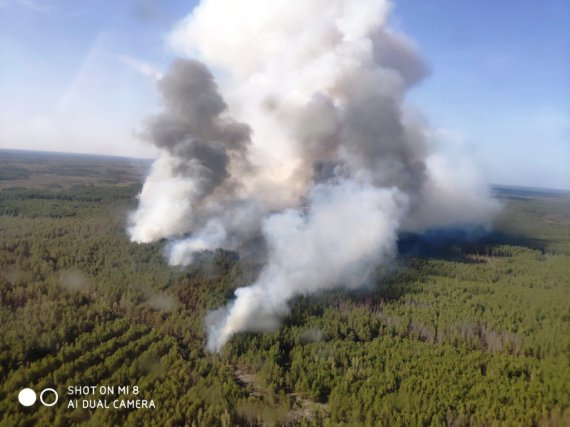 На Житомирщині  рятувальники ліквідовують лісову пожежу на площі  15 га