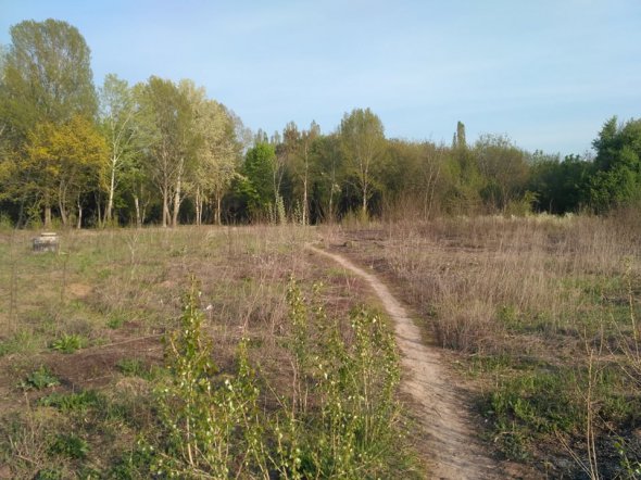 Территория рядом с коллектором.
