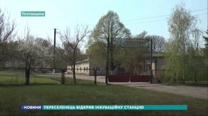 Инкубационная станция переселенца. Фото: скриншот из видео 