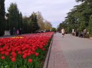 В оккупированном Севастополе распустились цветы