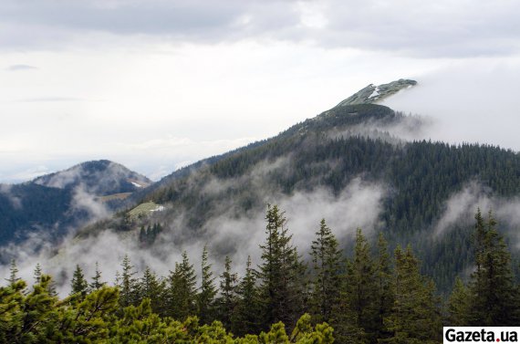 Сходження на гору Хом’як, в південно-східній частині Горган, - один з найпопулярніших одноденних маршрутів