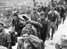 «Бойня дивизии Акви» стала одним из самых крупных массовых расстрелов в истории - всего за одну неделю в сентябре 1943 года на острове Кефалиния, Греция, было расстреляно 5000 пленных итальянских солдат и офицеров. Резня началась 21 сентября и продолжалась в течение одной недели. После итальянской капитуляции, Гитлер издал приказ позволявший казнить любого итальянского офицера, кто сопротивлялся, «за измену». Солдаты Gebirgsjäger начали расстрелы итальянских заключенных группами от четырёх до десяти. Немцы сначала убивали сдавшихся итальянцев на месте, используя пулемёты, затем немцам стало жаль тратить патроны, и в ход пошли ножи. Тела убитых офицеров свалили на плоты, вывезли в море и взорвали вместе с находившимися на них 20 живыми итальянскими солдатами.