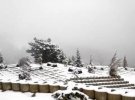 У північних районах Туреччини випав сніг
