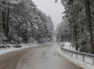 У північних районах Туреччини випав сніг. 