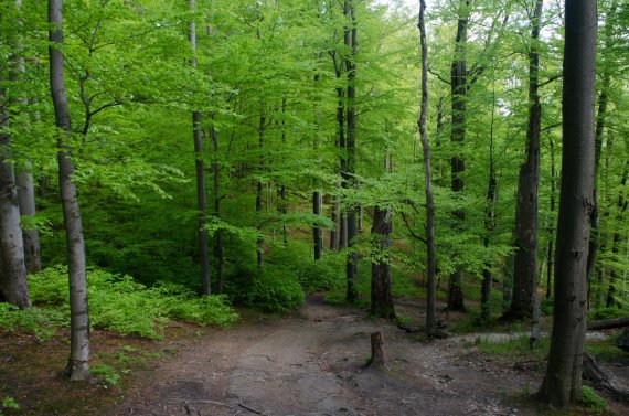 Печерний комплекс лежить на висоті 668 м над рівнем моря