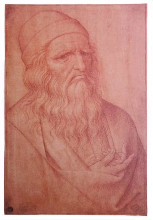 Художник Джованни Амброджо Фигино нарисовал портрет Леонардо да Винчи с раненой рукой