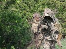 Українські снайпери вдосконалюють свої навички зі знищення ворога