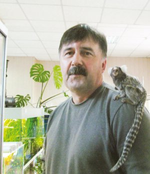 На плечі Миколи Грималовського сидить мавпочка — біловуха ігрунка