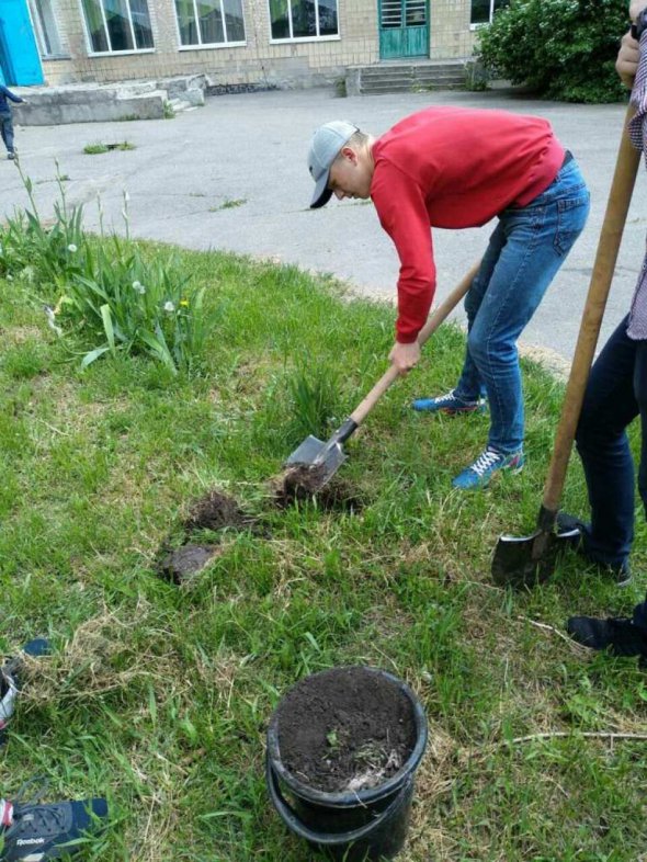 Випускники посадили дерева замість того, щоб купувати кульки на випускний