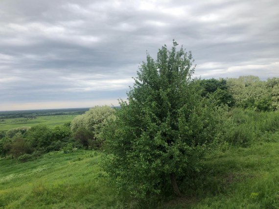 У Страх Санжарах Новосанжарського району на Полтавщині збудуть гірськолижний курорт