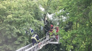 В Германии самолет застрял на дереве. Фото: Bild