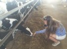 В Израиле, в основном, голландские коровы, которые летом стоят под вентиляторами, им делают массажи, часто поливают из душа, следят, чтобы у животных не было депрессий. 