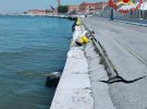 В итальянской Венеции круизный лайнер столкнулся с туристическим катером