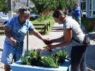 У Нових Санжарах на Полтавщині висаджують на клумби декоративні квіти