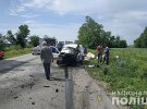 В Кобелякском районе Полтавской на трассе Полтава-Александрия произошло смертельное ДТП