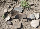 Украинские археологи проводят раскопки скифского городища