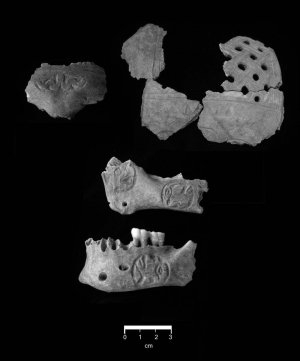 Трофейные черепа обнаружили на скелете воина цивилизации Майя