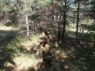 Тренировка егерей из 61-й бригады ВСУ. Бригада базируется на границе с Беларусью