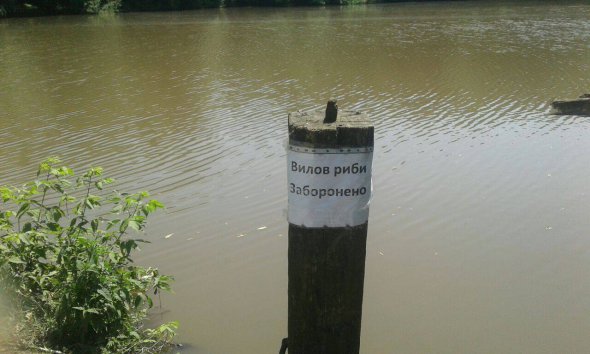 У ставку в селі Збаржівка заборонили купатися, напувати худобу та ловити рибу