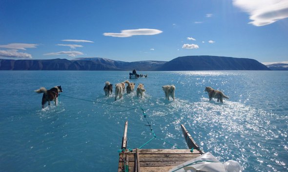 Глобальное потепление повлияло на ледники Гренландии