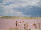 В Херсонській області, неподалік села Григорівка Чаплинського району є унікальне озеро.  Лемурійське озеро є частиною затоки Сиваш, і має ніжно-рожеву воду.