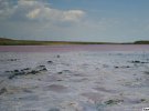 В Херсонській області, неподалік села Григорівка Чаплинського району є унікальне озеро. Лемурійське озеро є частиною затоки Сиваш, і має ніжно-рожеву воду.