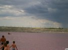 В Херсонській області, неподалік села Григорівка Чаплинського району є унікальне озеро. Лемурійське озеро є частиною затоки Сиваш, і має ніжно-рожеву воду.