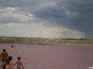 В Херсонской области, возле села Григорьевка Чаплинского района есть уникальное озеро.  Лемурийское озеро является частью залива Сиваш, и имеет нежно-розовую воду.