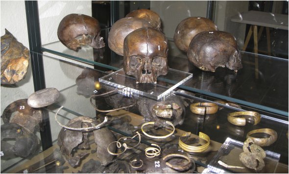 Предметы из древнегреческой меди обнаружили в подводном кладбище Финляндии