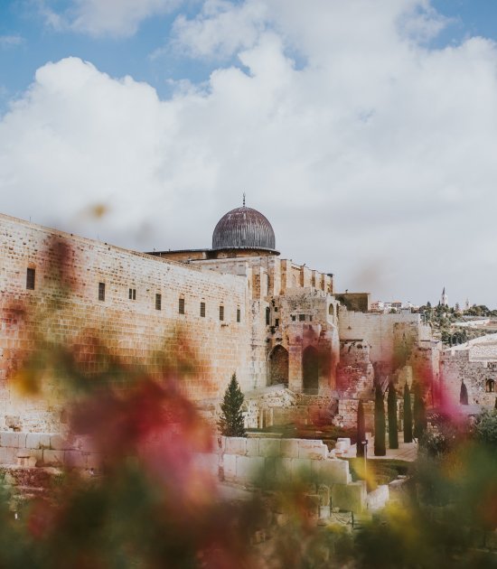 Первое, что поразило в Израиле – это обилие зелени