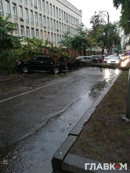 У Києві сильний вітер зриває дерева й дахи з будівель