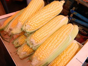 Сезон кукурудзи: продавці сказали, коли чекати дешевого смаколика літа