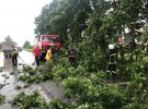 На Киевщине гроза повалила деревья